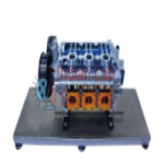 Cylinder Head Anatomy Model